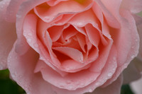 _R9A3286-1
